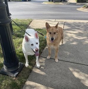 Meet your Posher, Ellen